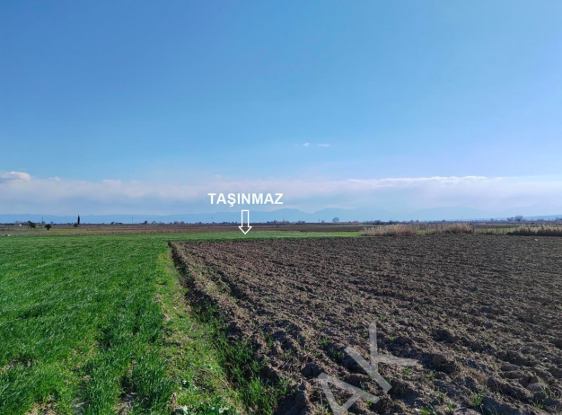 MANİSA SARUHANLI'DA 3.883 M2 SATILIK TARLA (101196502)